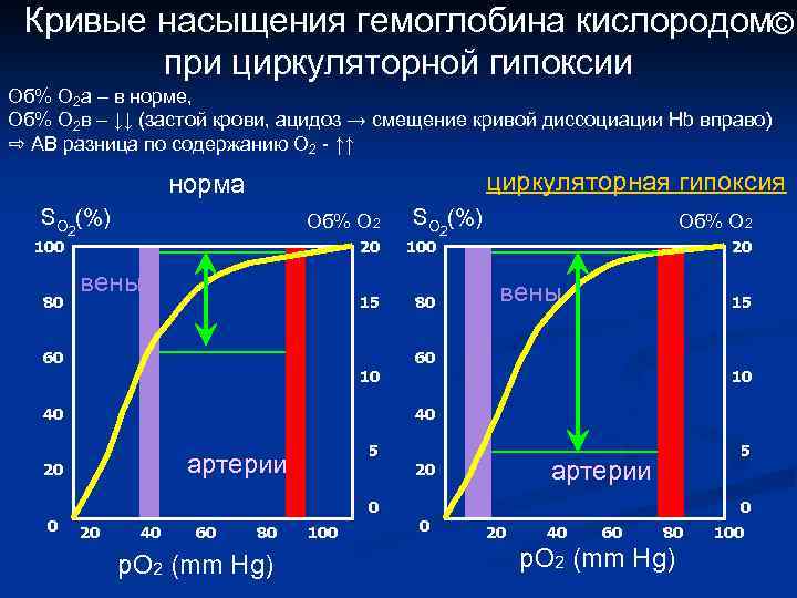 Показатель степени насыщения гемоглобина кислородом это