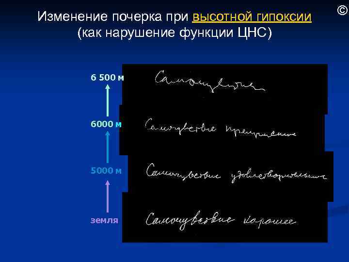 Изменение почерка при высотной гипоксии (как нарушение функции ЦНС) 6 500 м 6000 м