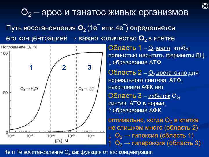 О 2 – эрос и танатос живых организмов © Путь восстановления О 2 (1