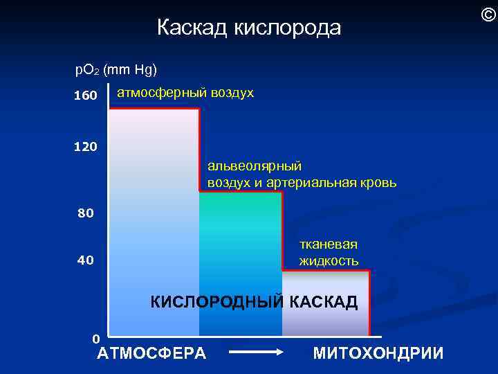 Кислородный Каскад. Кислородный Каскад физиология. Каскад напряжений кислорода.