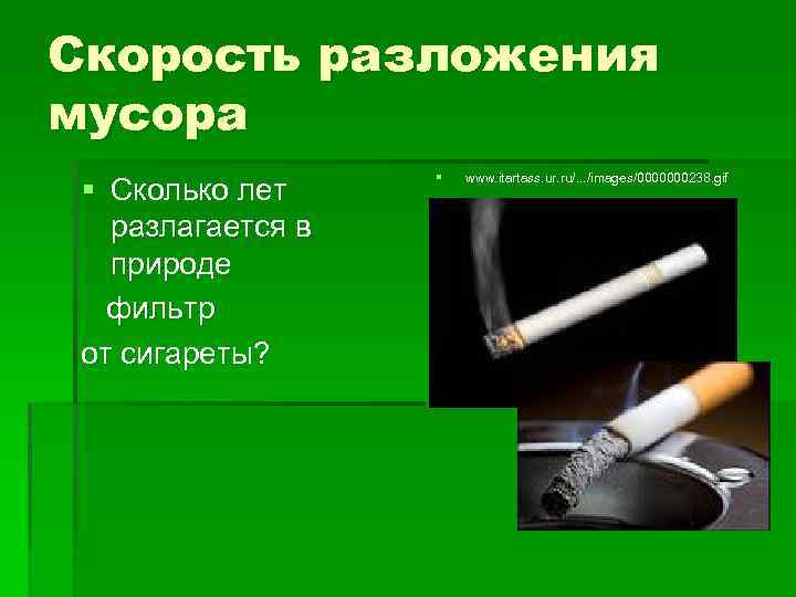 Скорость разложения мусора § Сколько лет разлагается в природе фильтр от сигареты? § www.