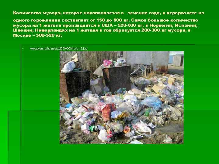 Количество мусора, которое накапливается в течение года, в перерасчете на одного горожанина составляет от