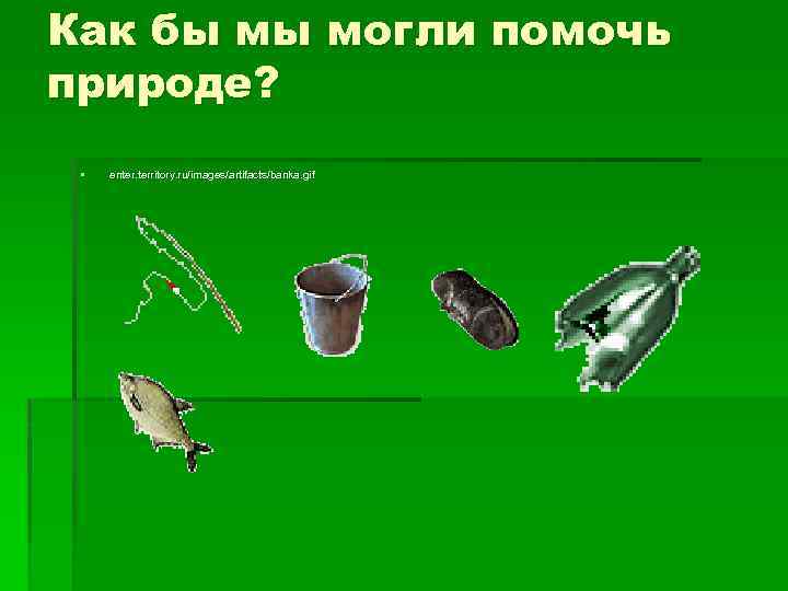 Как бы мы могли помочь природе? § enter. territory. ru/images/artifacts/banka. gif 