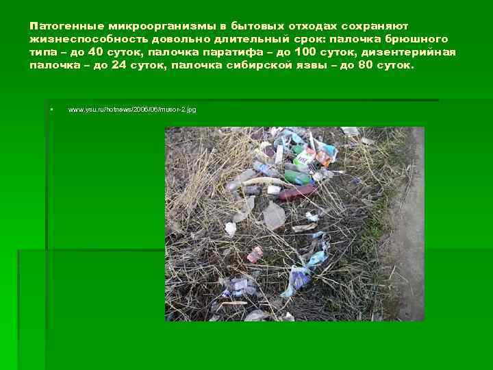 Патогенные микроорганизмы в бытовых отходах сохраняют жизнеспособность довольно длительный срок: палочка брюшного типа –