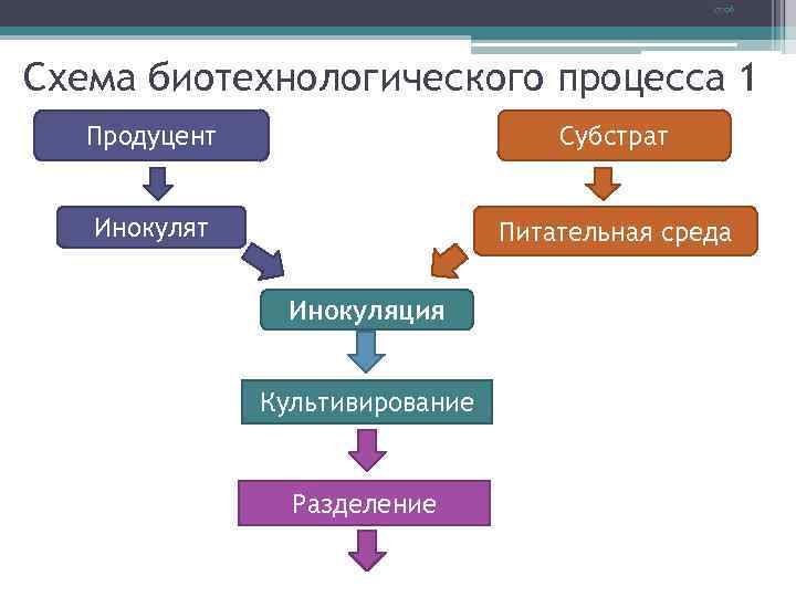 17: 06 Схема биотехнологического процесса 1 Продуцент Субстрат Инокулят Питательная среда Инокуляция Культивирование Разделение