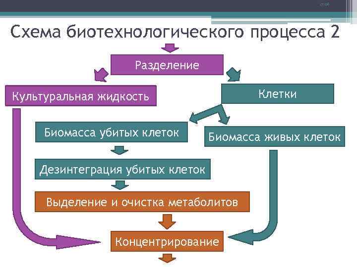 17: 06 Схема биотехнологического процесса 2 Разделение Клетки Культуральная жидкость Биомасса убитых клеток Биомасса