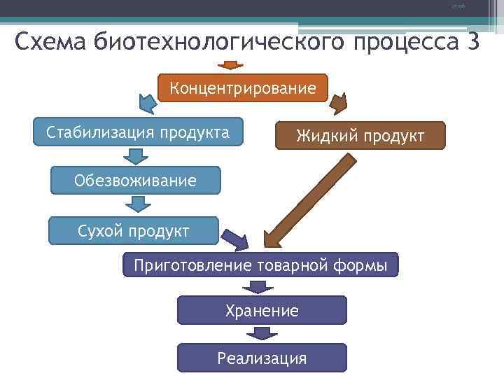 17: 06 Схема биотехнологического процесса 3 Концентрирование Стабилизация продукта Жидкий продукт Обезвоживание Сухой продукт