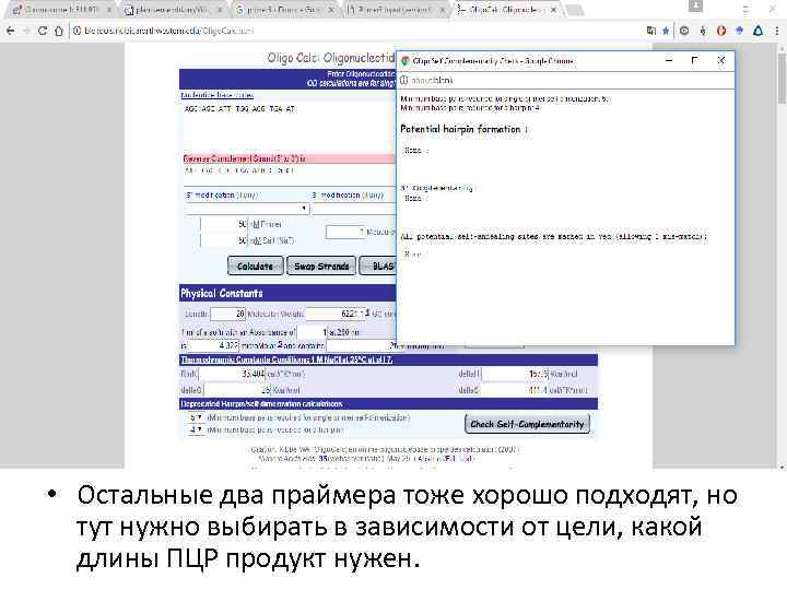  • Остальные два праймера тоже хорошо подходят, но тут нужно выбирать в зависимости