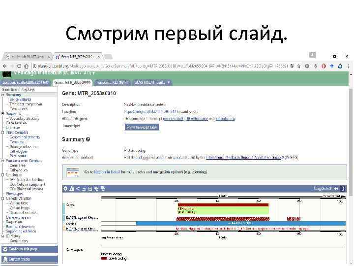 Смотрим первый слайд. 