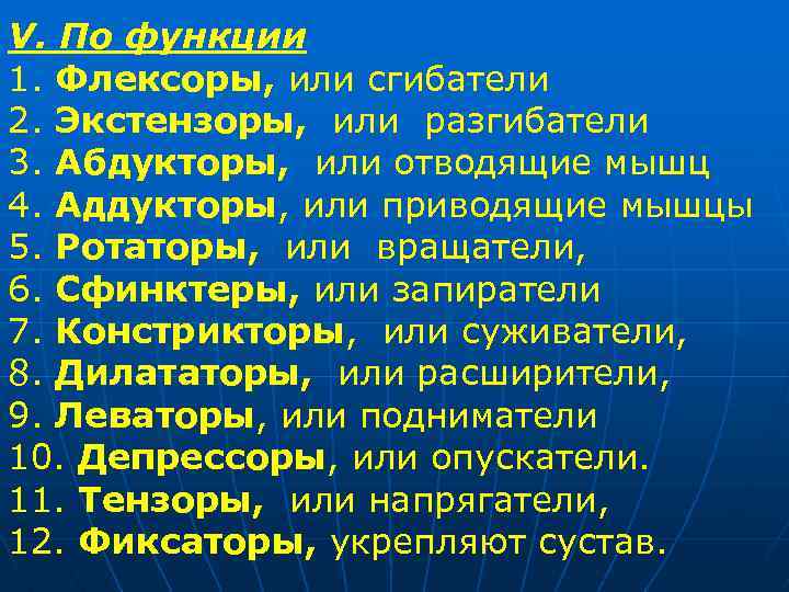 V. По функции 1. Флексоры, или сгибатели 2. Экстензоры, или разгибатели 3. Абдукторы, или