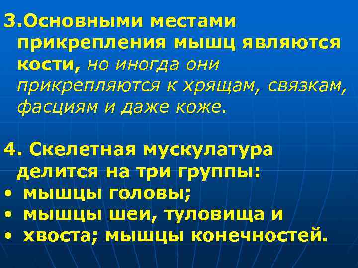 3. Основными местами прикрепления мышц являются кости, но иногда они прикрепляются к хрящам, связкам,