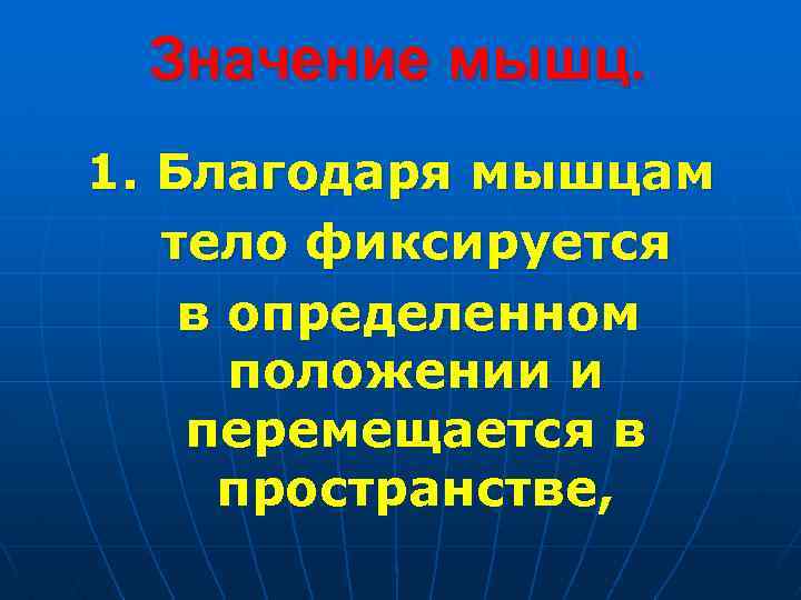 Значение мышц. 1. Благодаря мышцам тело фиксируется в определенном положении и перемещается в пространстве,