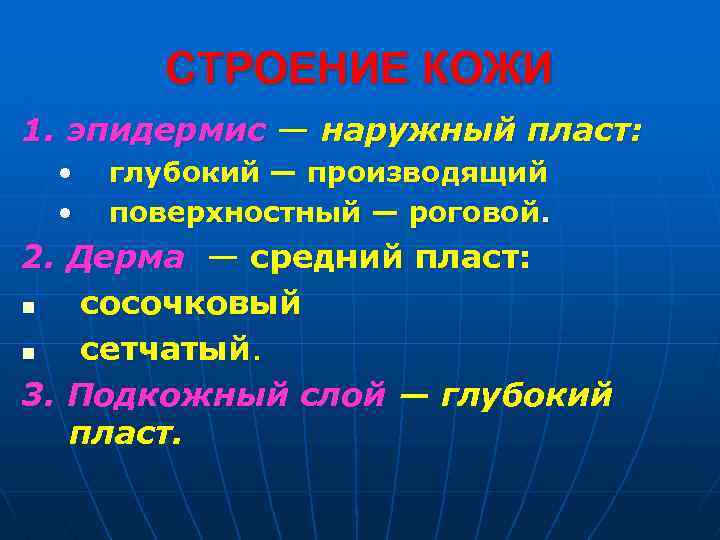 СТРОЕНИЕ КОЖИ 1. эпидермис — наружный пласт: • • глубокий — производящий поверхностный —