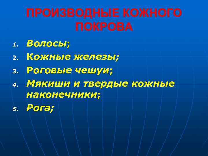 ПРОИЗВОДНЫЕ КОЖНОГО ПОКРОВА 1. 2. 3. 4. 5. Волосы; Кожные железы; Роговые чешуи; Мякиши