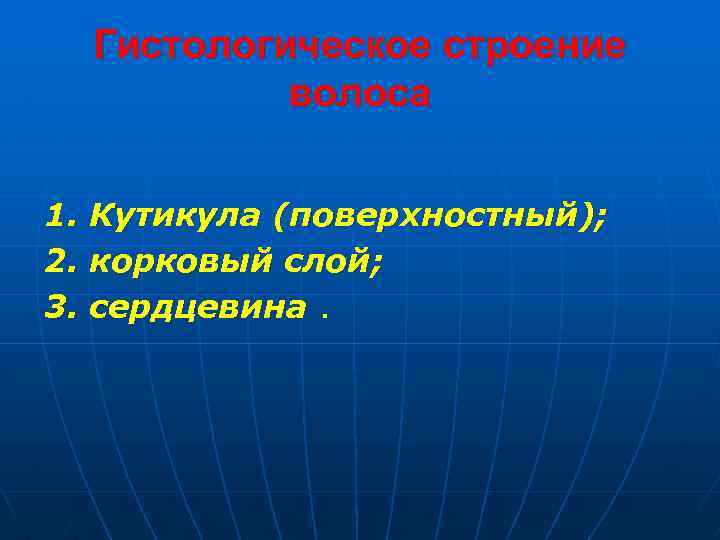 Гистологическое строение волоса 1. Кутикула (поверхностный); 2. корковый слой; 3. сердцевина. 