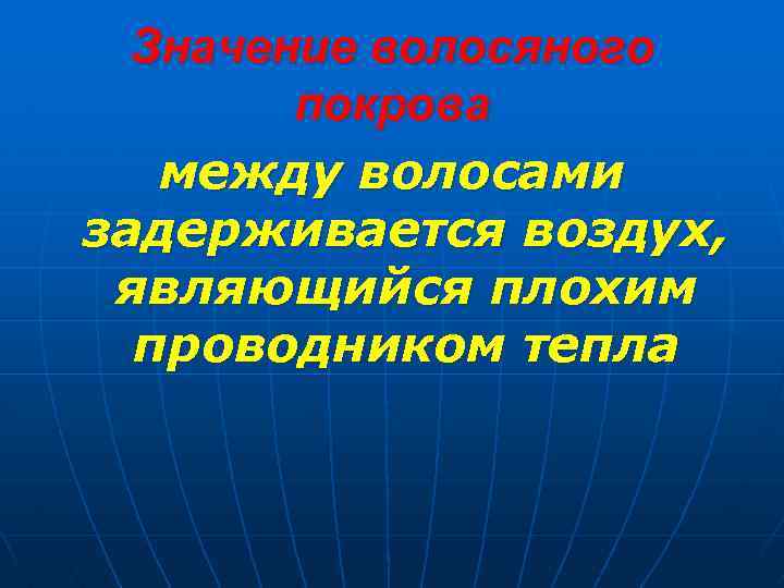 Значение волосяного покрова между волосами задерживается воздух, являющийся плохим проводником тепла 