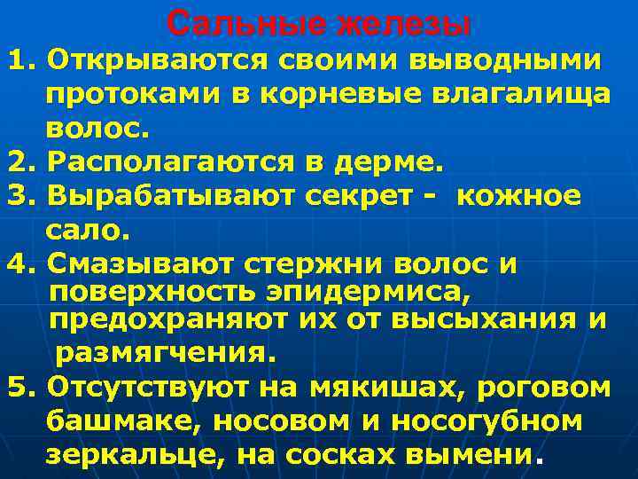 Сальные железы 1. Открываются своими выводными протоками в корневые влагалища волос. 2. Располагаются в