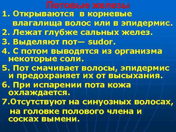 Потовые железы 1. Открываются в корневые влагалища волос или в эпидермис. 2. Лежат глубже