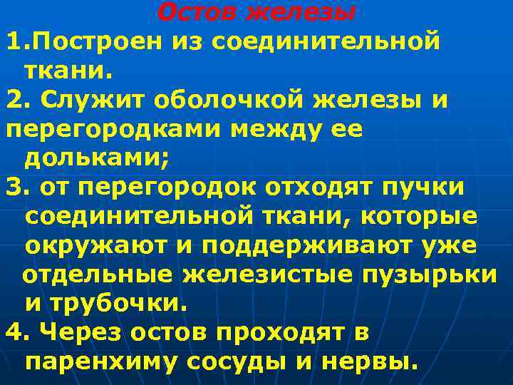 Остов железы 1. Построен из соединительной ткани. 2. Служит оболочкой железы и перегородками между