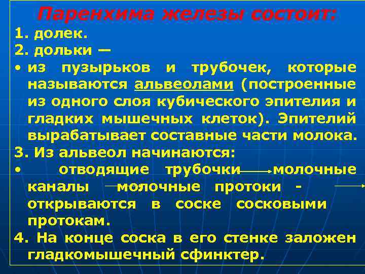Паренхима железы состоит: 1. долек. 2. дольки — • из пузырьков и трубочек, которые