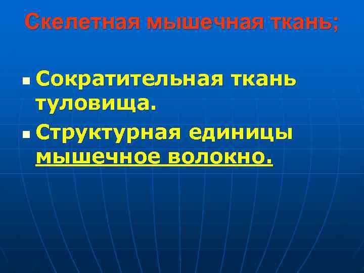 Скелетная мышечная ткань; Сократительная ткань туловища. n Структурная единицы мышечное волокно. n 