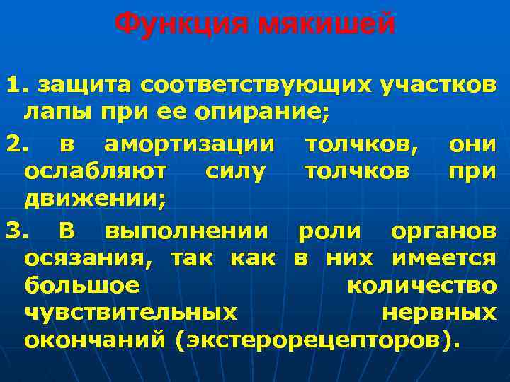 Функция мякишей 1. защита соответствующих участков лапы при ее опирание; 2. в амортизации толчков,