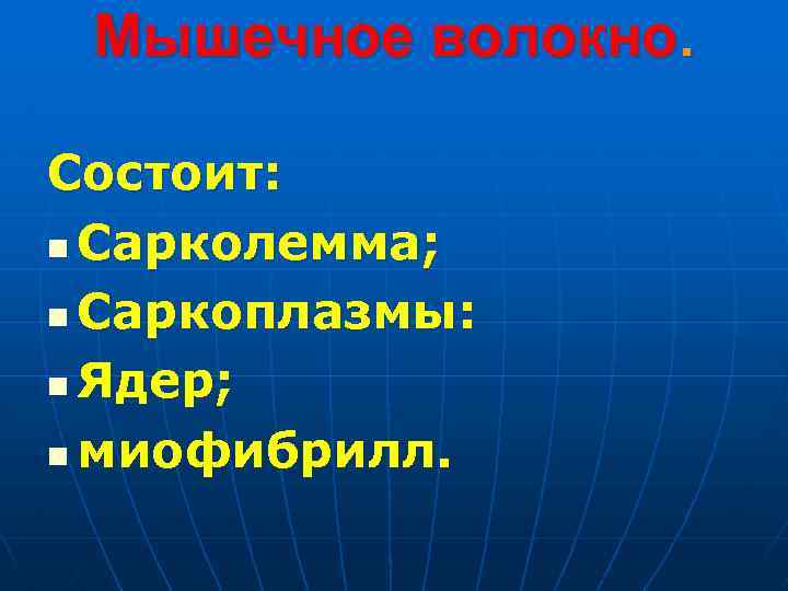 Мышечное волокно. Состоит: n Сарколемма; n Саркоплазмы: n Ядер; n миофибрилл. 