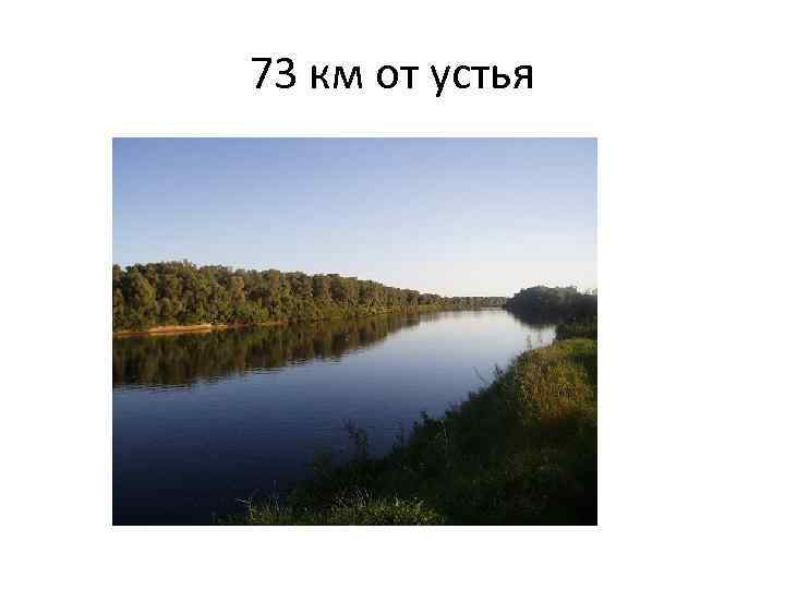 73 км от устья 