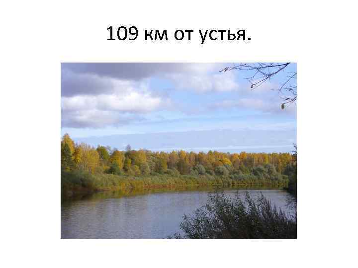 109 км от устья. 