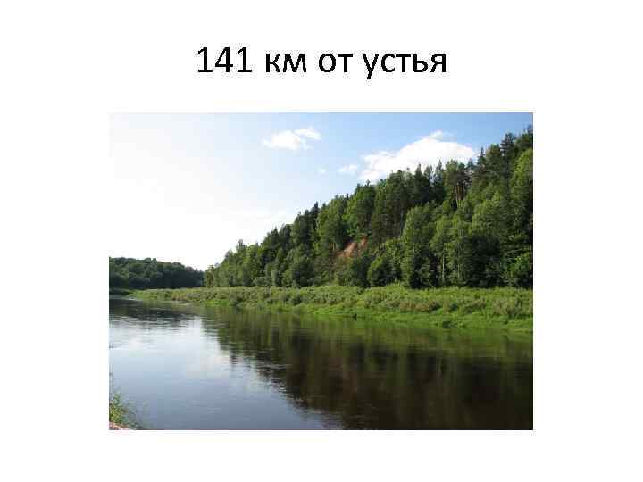 141 км от устья 