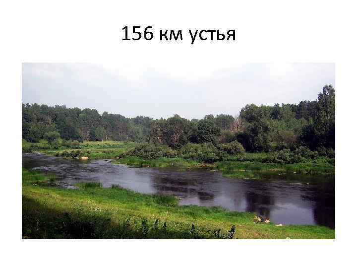 156 км устья 