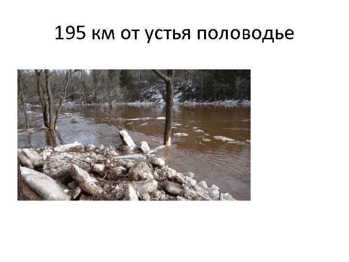 195 км от устья половодье 