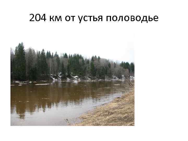 204 км от устья половодье 