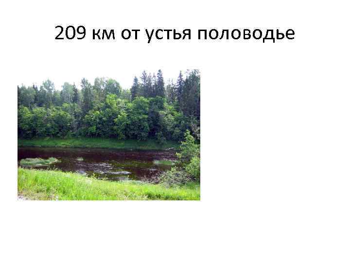 209 км от устья половодье 