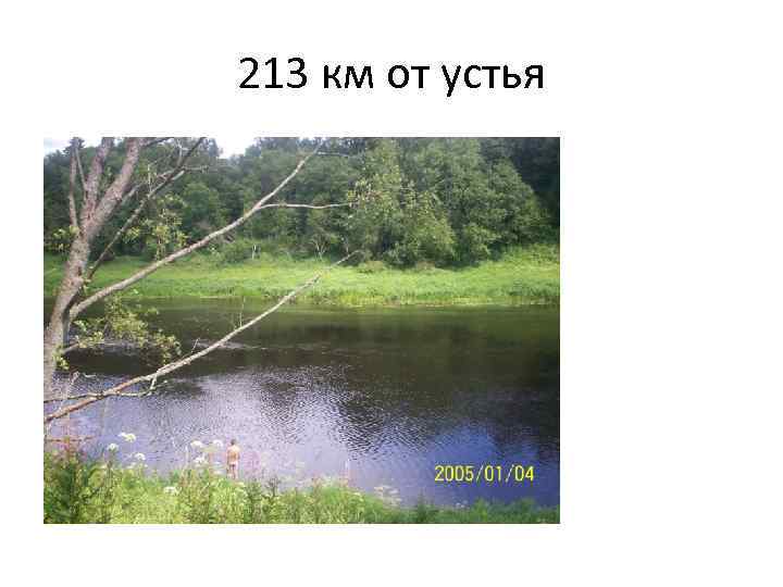 213 км от устья 