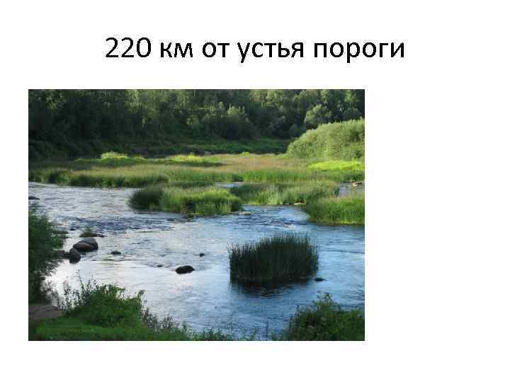 220 км от устья пороги 