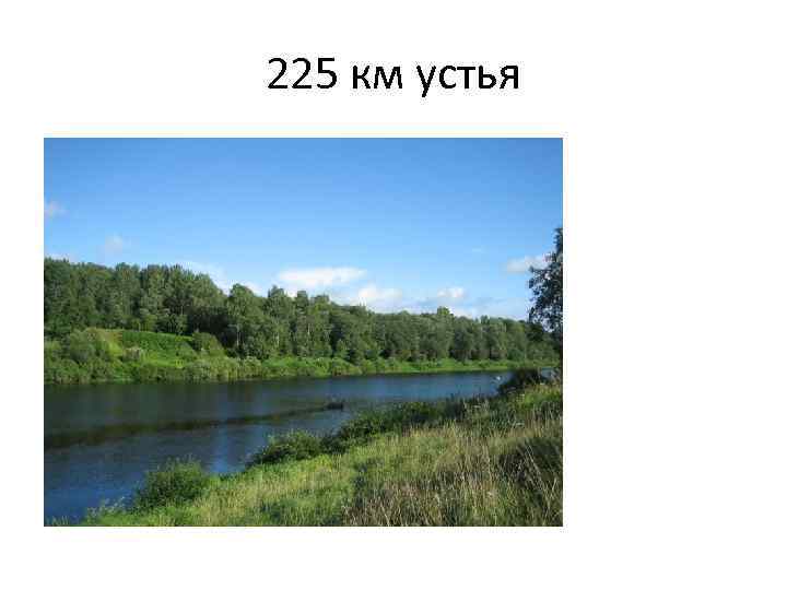 225 км устья 
