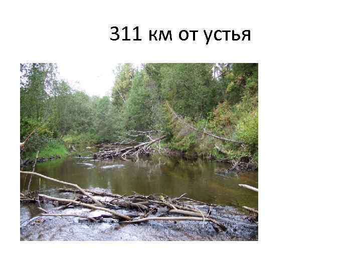 311 км от устья 
