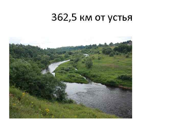 362, 5 км от устья 