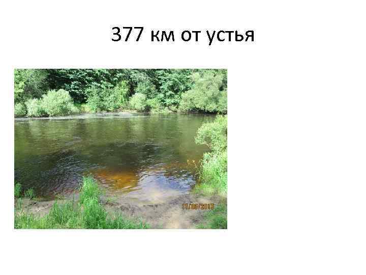 377 км от устья 