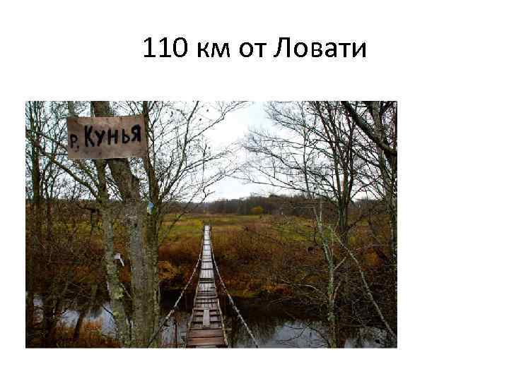 110 км от Ловати 