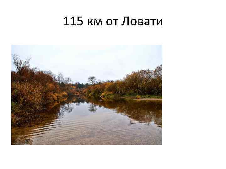 115 км от Ловати 