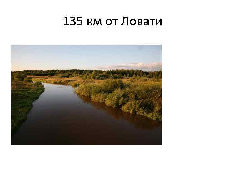 135 км от Ловати 