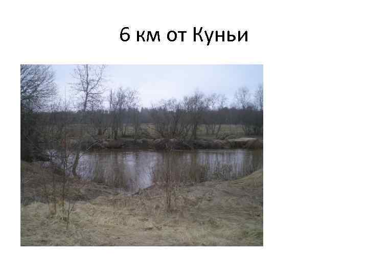 6 км от Куньи 