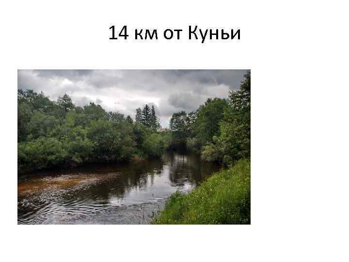 14 км от Куньи 