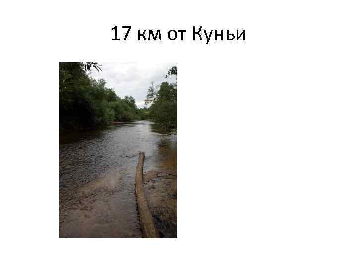 17 км от Куньи 