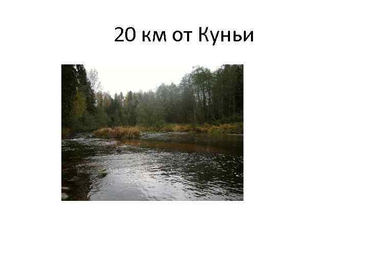 20 км от Куньи 