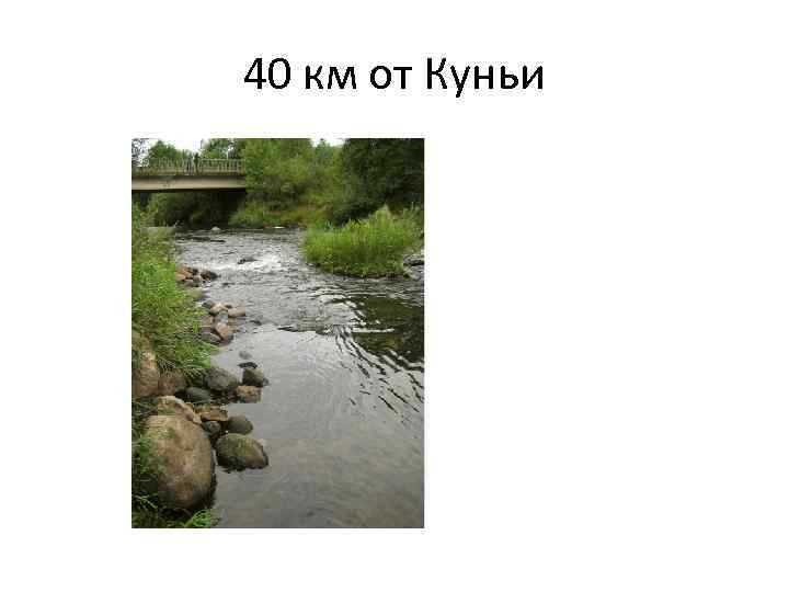 40 км от Куньи 