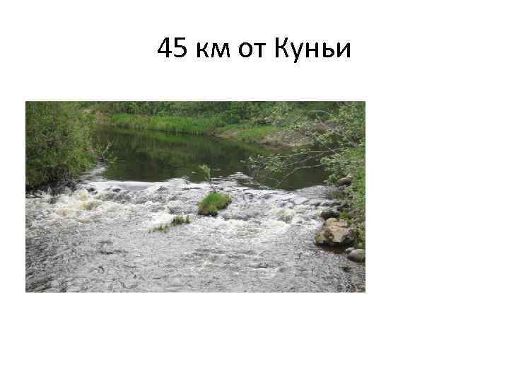 45 км от Куньи 