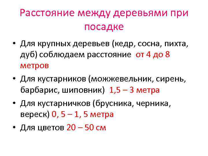 Расстояние между деревьями при посадке • Для крупных деревьев (кедр, сосна, пихта, дуб) соблюдаем